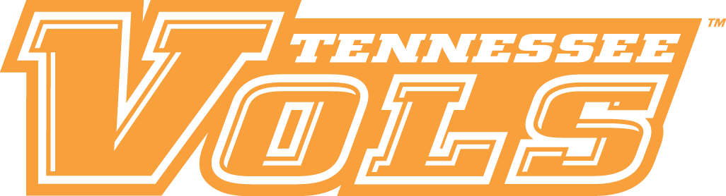 Tennessee Volunteers 2005-Pres Wordmark Logo v3 diy fabric transfers